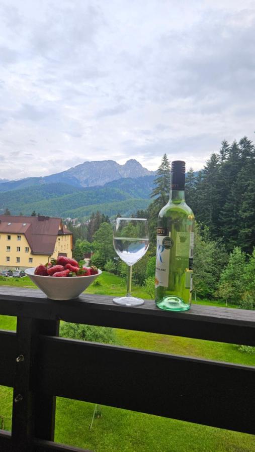 Apartament Klasyczny Z Widokiem Na Giewont Koscielisko Exterior photo